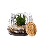 Product Original Stormtrooper Storage Glass / Terrarium Trooper thumbnail image