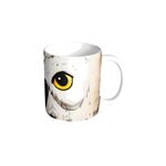 Product Κούπα Harry Potter Hedwig Mug thumbnail image