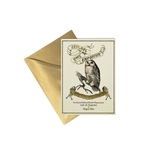 Product Harry Potter Eeylop's Owl Emporium Notecard thumbnail image