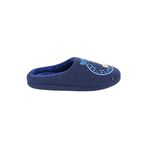 Product Sonic House Slippers thumbnail image