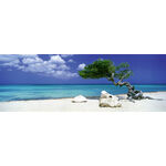 Product Puzzle 29399 Pan Vh Divi Divi Tree 1000 Pieces thumbnail image