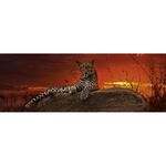Product Παζλ 29608 Pan Vh Red Dawn 2000 Κομμάτια thumbnail image