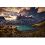 Product Παζλ 29815 St Vh Guanacos 1000 Κομμάτια thumbnail image