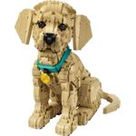 Product LEGO® Icons Golden Retriever Puppy (11384) thumbnail image