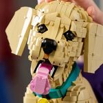 Product LEGO® Icons Golden Retriever Puppy (11384) thumbnail image