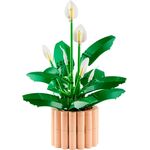 Product LEGO® Botanicals: Peace Lily (11504) thumbnail image
