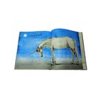 Product Fantastic Beasts and Where to Find Them : Illustrated Edition thumbnail image