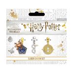 Product Φυλαχτά Harry Potter Chocolate Frog Silver Plated thumbnail image