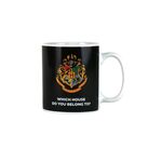 Product Harry Potter House Reveal Heat Change Mug thumbnail image