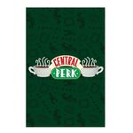 Product Friends Central Perk Green Poster thumbnail image