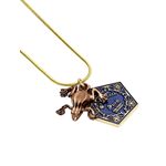 Product Κολιέ Harry Potter Chocolate Frog Necklace thumbnail image