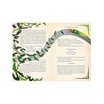 Product Harry Potter and the Philosopher's Stone: MinaLima Edition thumbnail image