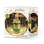 Product Μπουκάλι και Ποτήρια Harry Potter Potion thumbnail image