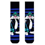 Product Κάλτσες Sylvester thumbnail image