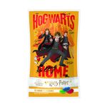 Product Harry Potter 10 Good Flavours Jelly Beans thumbnail image