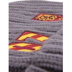 Product Harry Potter Gryffindor Beanie thumbnail image