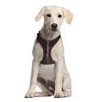 Product Star Wars Chewbacca Dog Harness thumbnail image