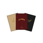 Product Harry Potter A6 Notebooks 3pack thumbnail image