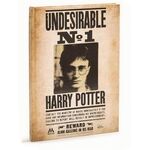 Product Harry Potter 3D Lenticular Notebook thumbnail image