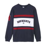 Product Harry Potter Hogwarts Sweatshirt thumbnail image