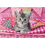 Product Puzzle 56361 My Cutest Baby Animals,3x48 Pieces thumbnail image