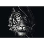 Product Παζλ 58541 Ashley Rader Wilderness-tiger, The Epitome Of Freedom 1000 Κομμάτια thumbnail image