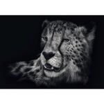 Product Παζλ 58542 Ashley Raderspeed-cheetah, The Epitome Of Grace 1000 Κομμάτια thumbnail image