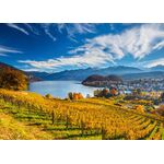 Product Puzzle 58953 Vineyards 2000 Pieces thumbnail image