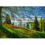 Product Puzzle 58967 Spring Avenue In Tulip Bloom, Mainau Island 1000 Pieces thumbnail image