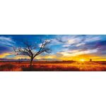 Product Παζλ 59287 Desert Oak At Sunset, Northern Territory, Australia 1000 Κομμάτια thumbnail image