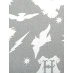 Product Μαξιλάρι Harry Potter Hedwig thumbnail image