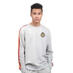 Product Harry Potter Hogwarts Crest Unisex Crew Top Heather Grey thumbnail image