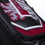 Product Harry Potter Burgundy Backpack thumbnail image