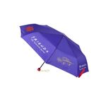 Product Umbrella Friends Purple thumbnail image