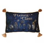 Product Harry Potter Alumni Velvet Cushion Potions Class thumbnail image