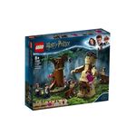 Product LEGO®Harry Potter™: Το Απαγορευμένο Δάσος: Η Συνάντηση του Γκράουπ και της Άμπριτζ (75967) thumbnail image