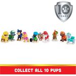 Product Spin Master Paw Patrol: All Paws Gift Set (6065255) thumbnail image