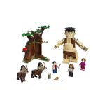 Product LEGO®Harry Potter™: Το Απαγορευμένο Δάσος: Η Συνάντηση του Γκράουπ και της Άμπριτζ (75967) thumbnail image