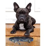 Product DC Comics Batman Leash thumbnail image