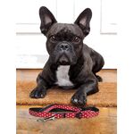 Product Disney Minnie Mouse Leash thumbnail image