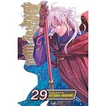 Product D.Gray-man, Vol. 29 thumbnail image