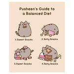 Product Pusheen Poster Book: 12 Cute Designs to Display thumbnail image