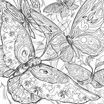 Product Green Witch Coloring Book thumbnail image