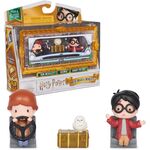 Product Spin Master Harry Potter: Micro Magical Moments - Ron Weasly/Hedwig/Harry Potter Mini Figures 3Pack (6068612) thumbnail image