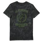 Product Harry Potter Slytherin Hogwarts Alumni Vintage Style Adults T-Shirt thumbnail image
