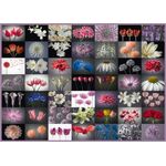 Product Puzzle 58297 Floral Greeting 2000 Pieces thumbnail image