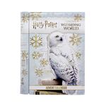 Product Harry Potter Hedwig Tin Advent Calendar thumbnail image