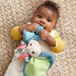 Product Fisher-Price® Planet Friends - All Ears Lovey (HKD63) thumbnail image