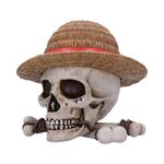 Product One Piece Luffy Jolly Roger Box thumbnail image