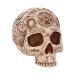 Product Φιγούρα Nemesis Now: Premium Quality - Apothecary Skull thumbnail image